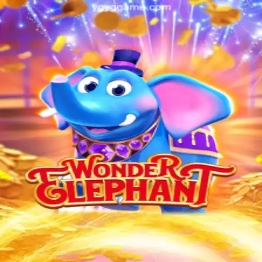 Exploring the World of WonderElephant: A Glimpse into Brazil's Favorite Game